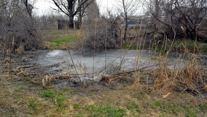 Забруднення відходами Орільської птахофабрики МХП в Єлизаветівці
