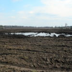 Забруднення відходами Орільської птахофабрики МХП в Єлизаветівці